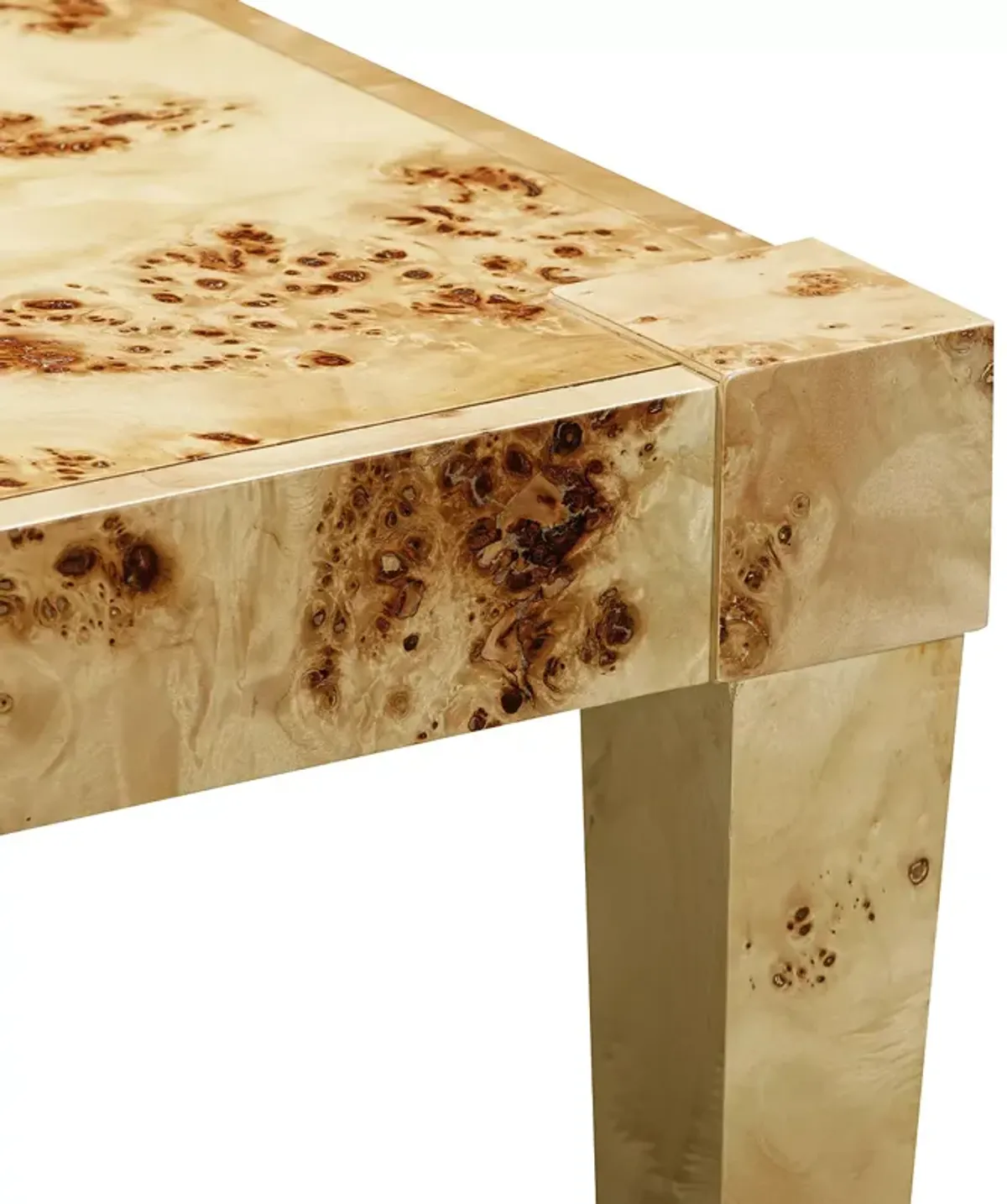 TOV Furniture Burl End Table  