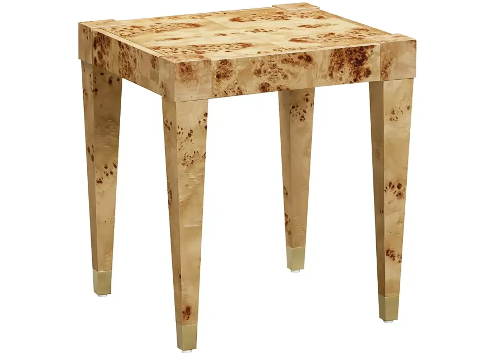 TOV Furniture Burl End Table  