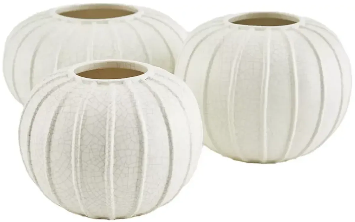 Arteriors Pompano Vases, Set of 3