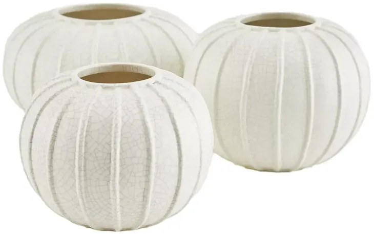 Arteriors Pompano Vases, Set of 3