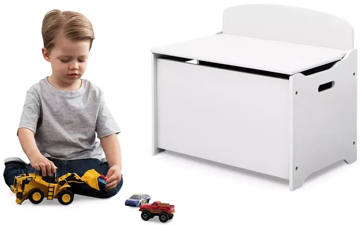 Tyler Large Toy Box