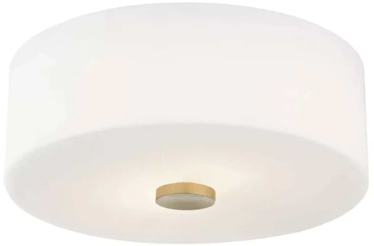 Mitzi Sophie 2-Light Flush Mount 