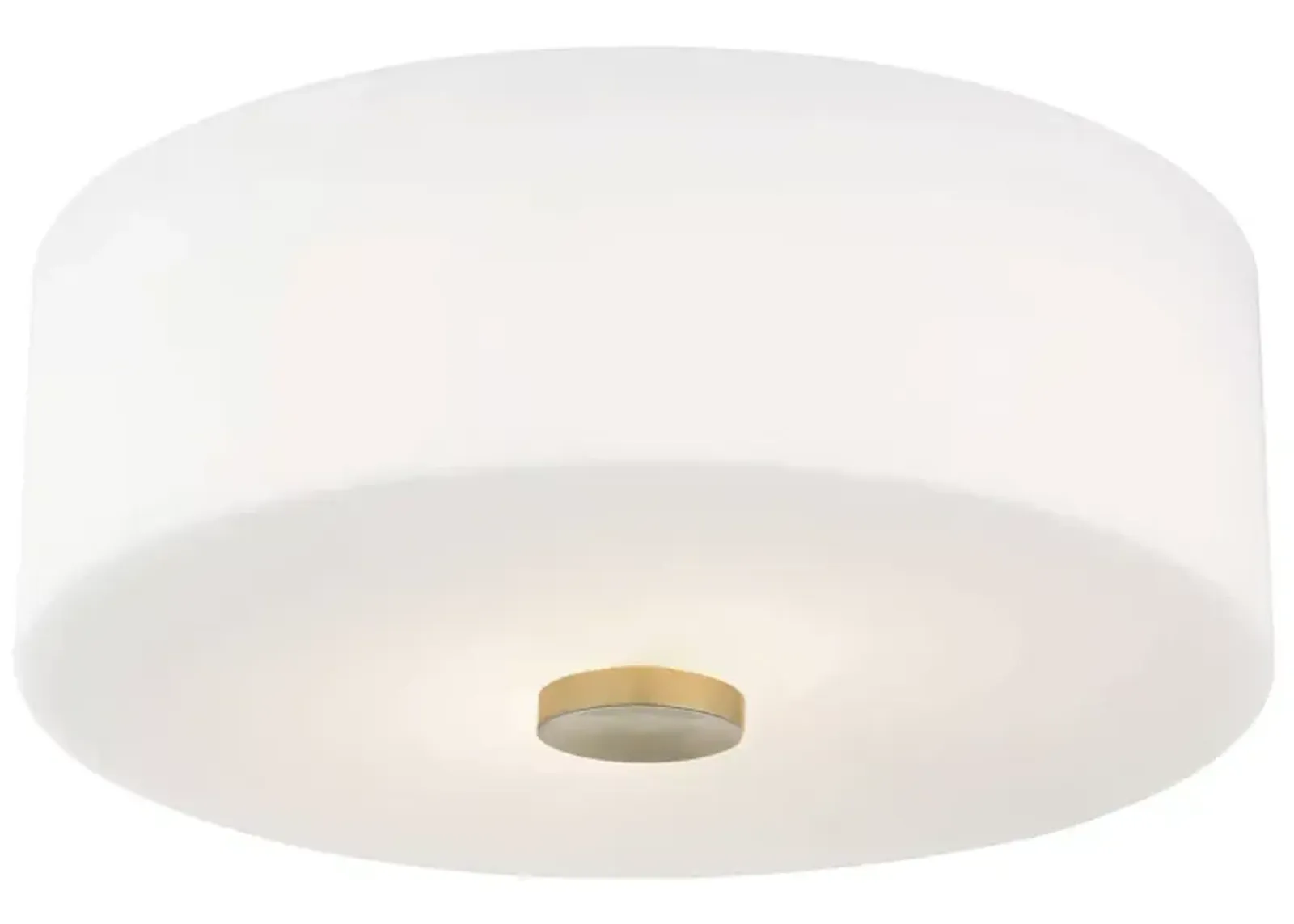 Mitzi Sophie 2-Light Flush Mount 