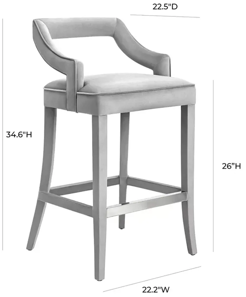 TOV Furniture Tiffany Gray Velvet Counter Stool