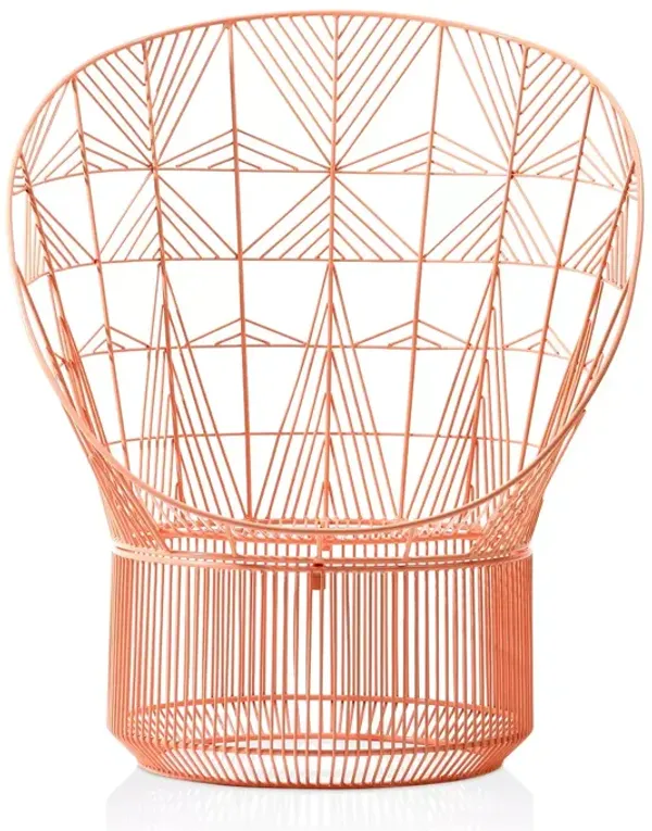 Bend Peacock Chair