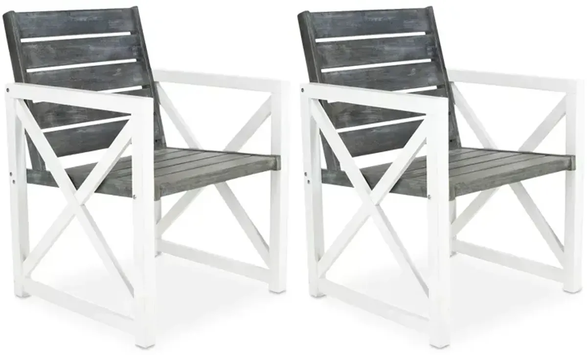 SAFAVIEH Irina Outdoor Arm Chair, Set of 2