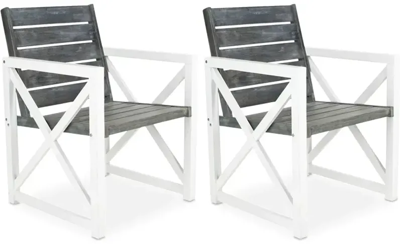 SAFAVIEH Irina Outdoor Arm Chair, Set of 2