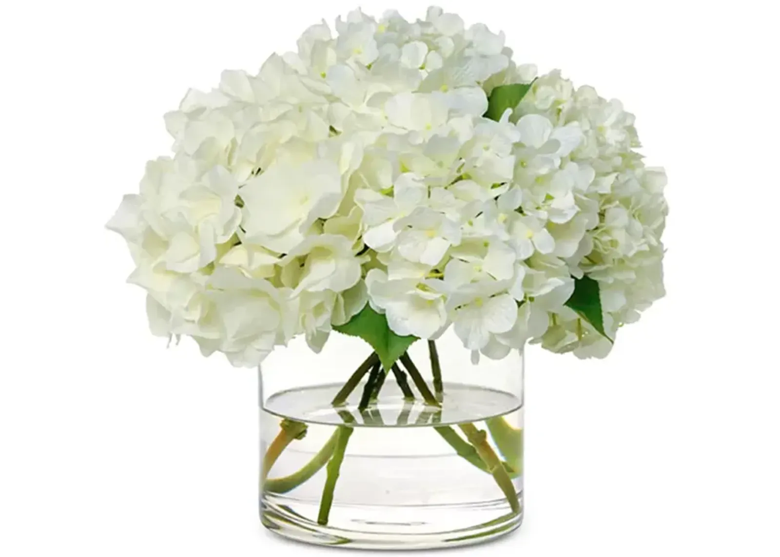 Diane James Home White Hydrangea in Glass Cylinder