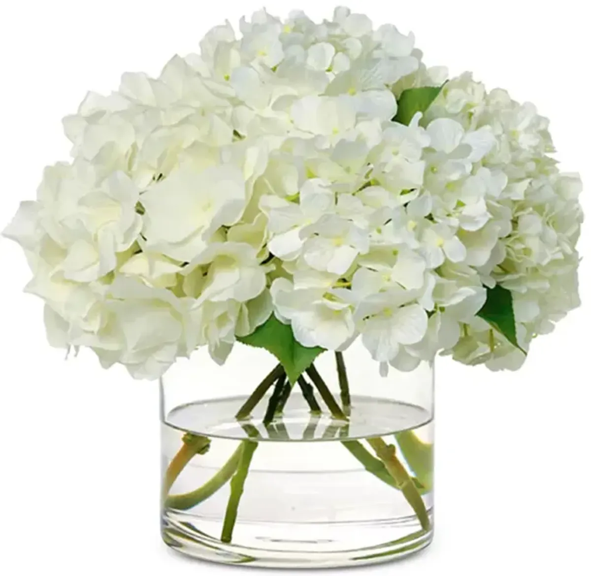 Diane James Home White Hydrangea in Glass Cylinder