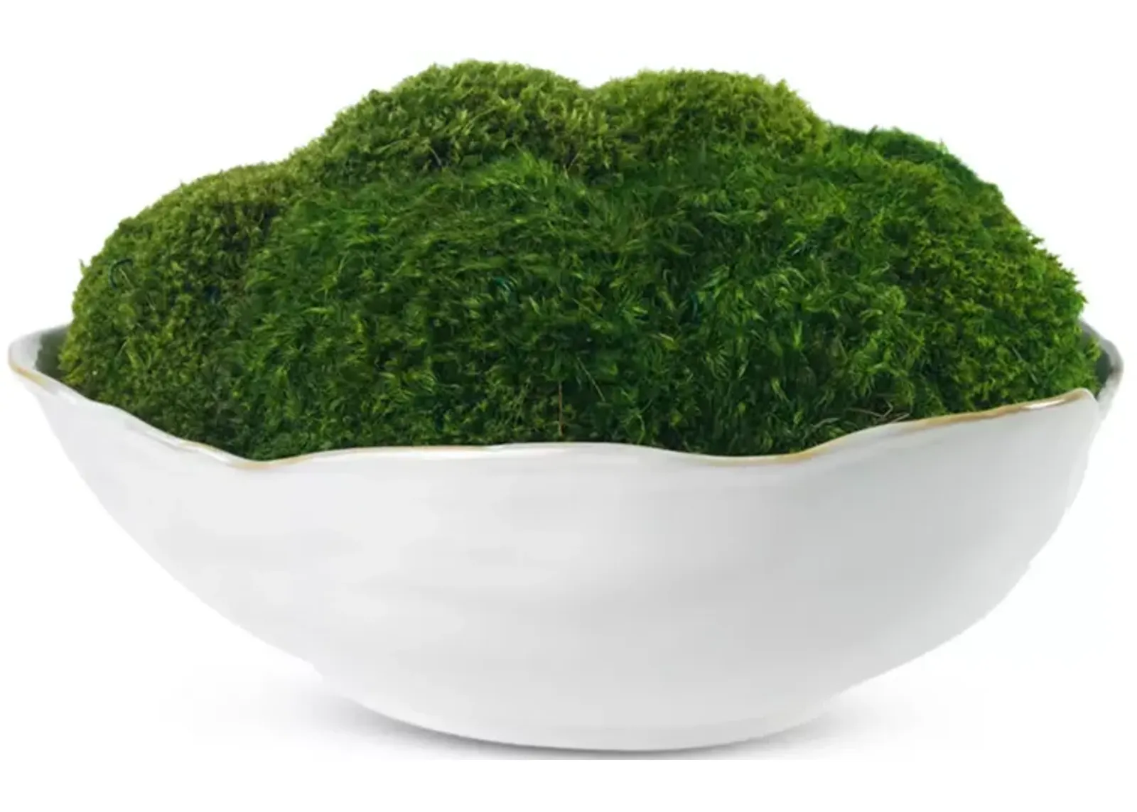 Diane James Home Faux Mossy Mood in Potter's Bowl