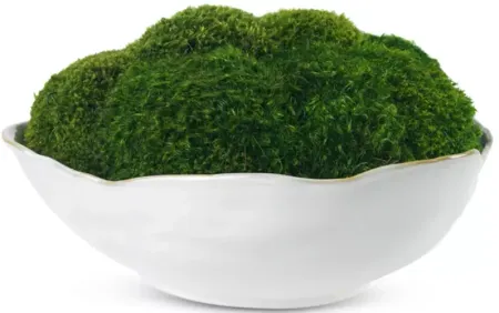 Diane James Home Faux Mossy Mood in Potter's Bowl