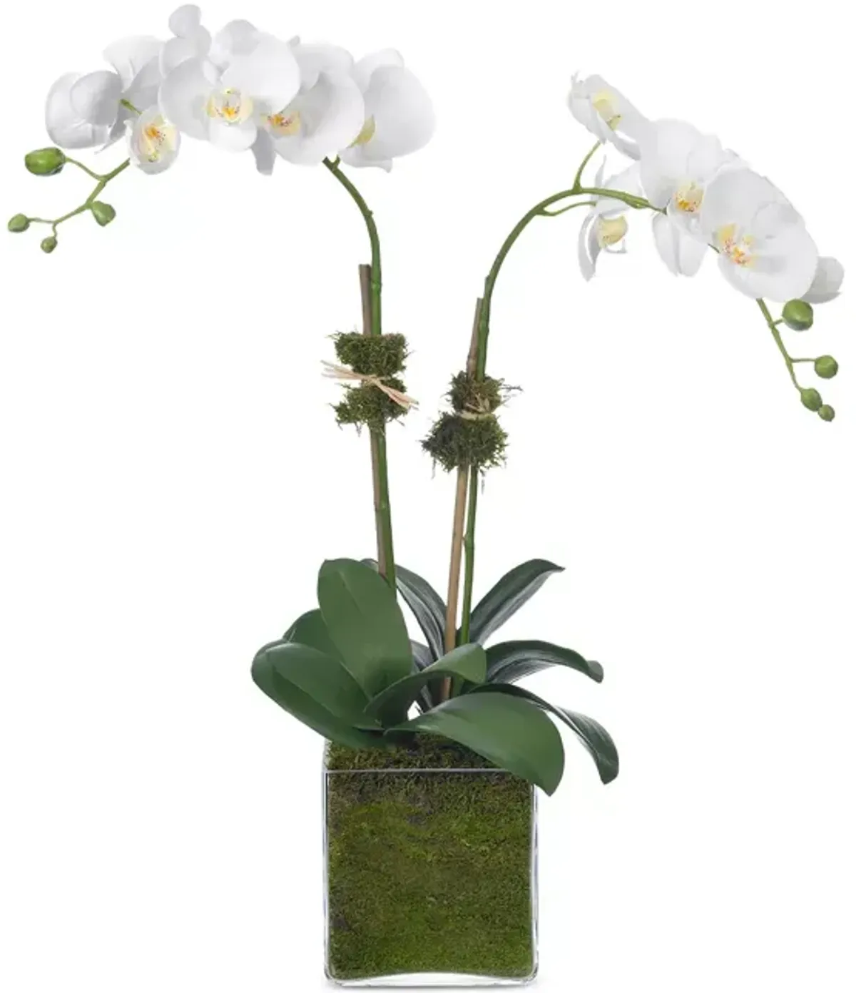 Diane James Home Faux Phalaenopsis Orchid in Glass Vase