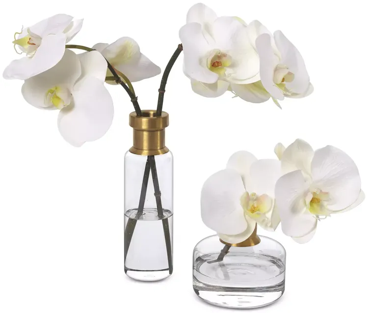 Diane James Home Phalaenopsis Faux Floral Orchids - Set of 2