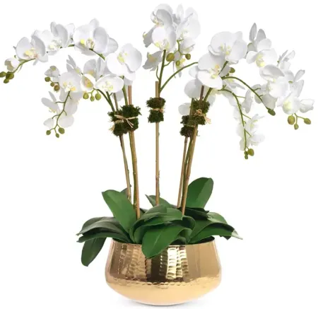 Diane James Home Faux Orchids in Gold-Tone Bowl