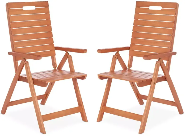 SAFAVIEH Rence Outdoor Folding Chair, Set of 2