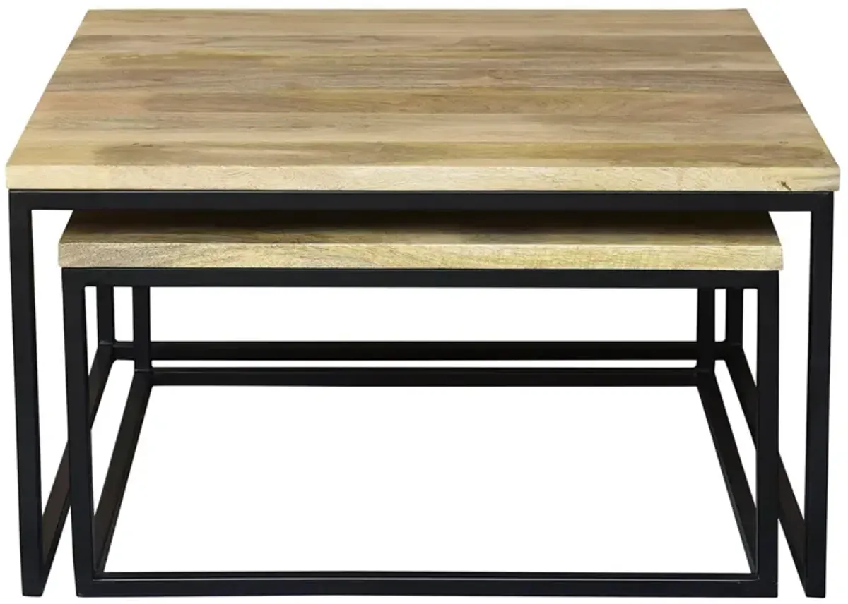 Hollis Nesting Coffee Tables, Set of 2