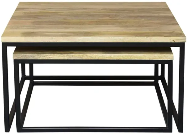 Hollis Nesting Coffee Tables, Set of 2