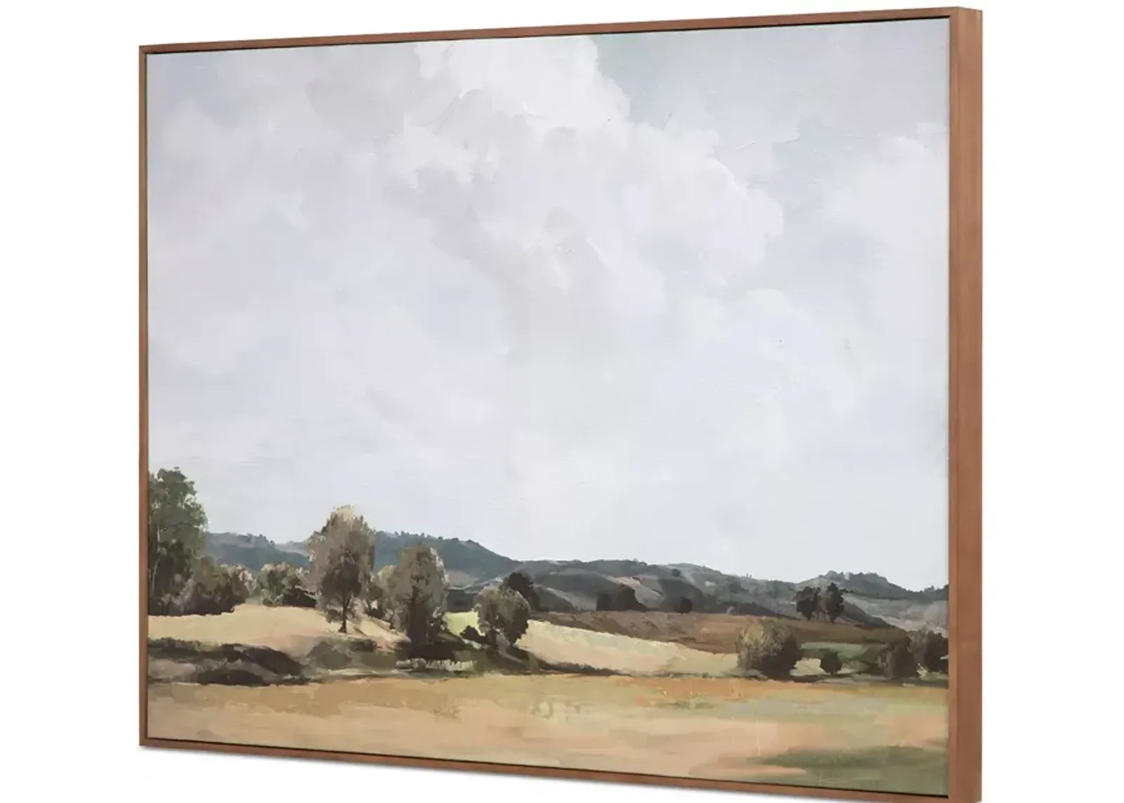 MOE'S HOME COLLECTION Vast Country Framed Painting