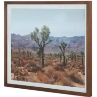 MOE'S HOME COLLECTION Desert Land Framed Print 