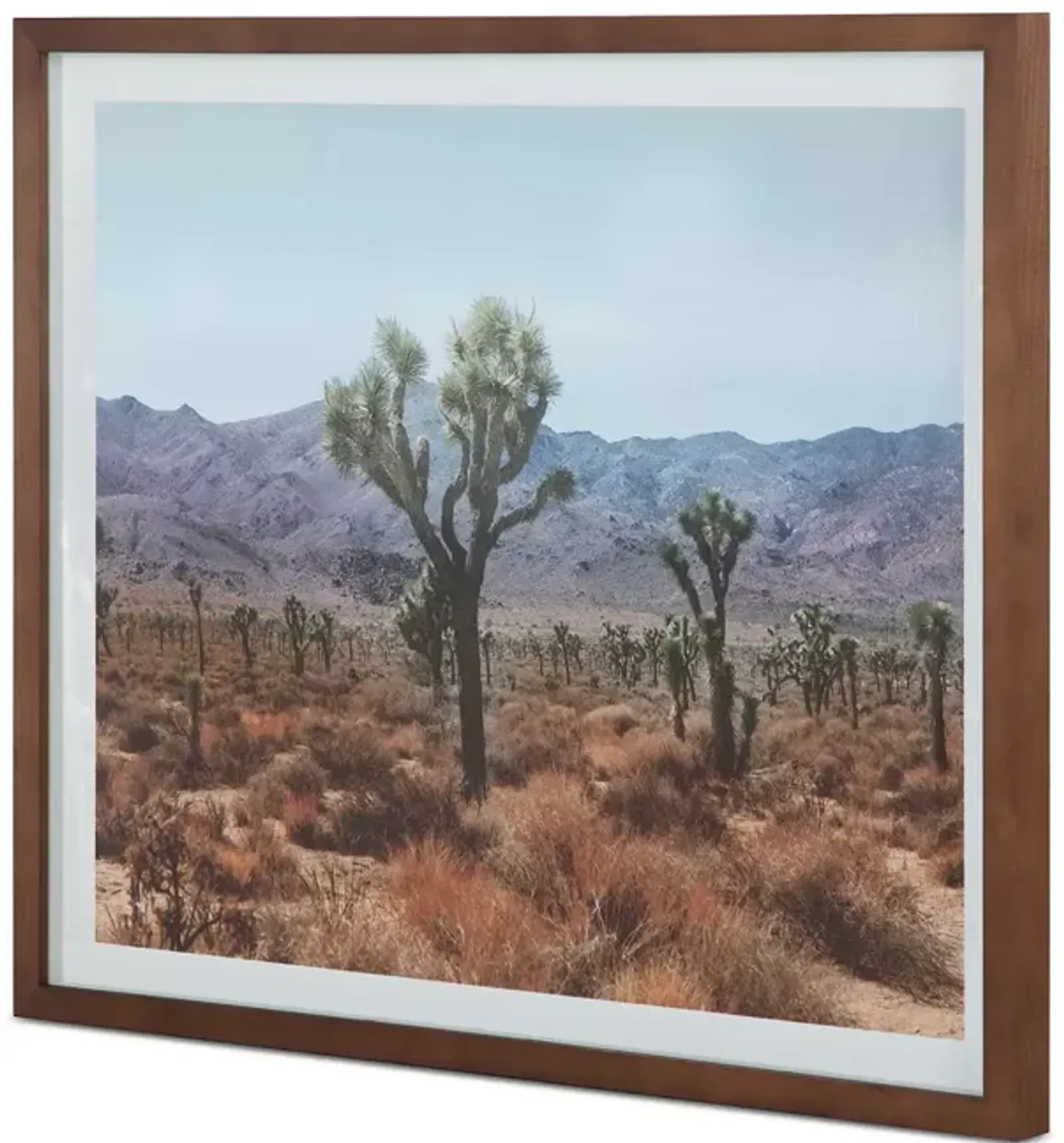 MOE'S HOME COLLECTION Desert Land Framed Print 