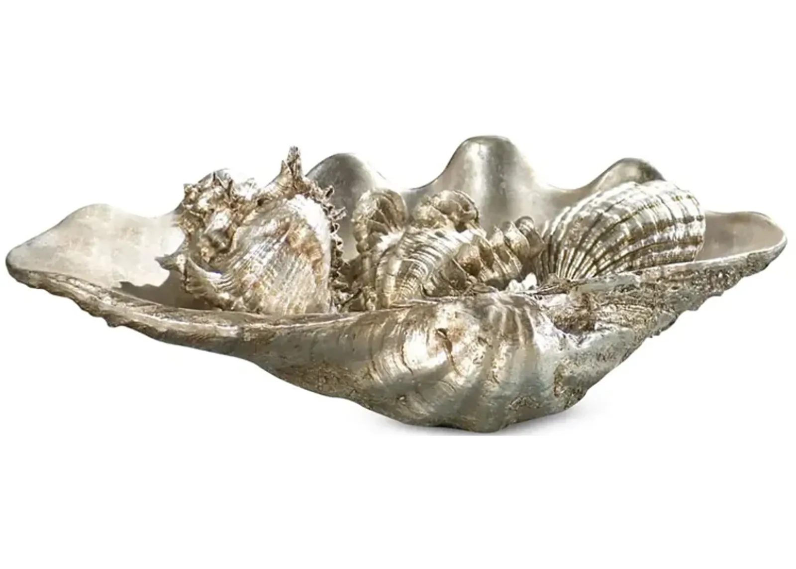 Regina Andrew Medium Clam Shell and Small Shells