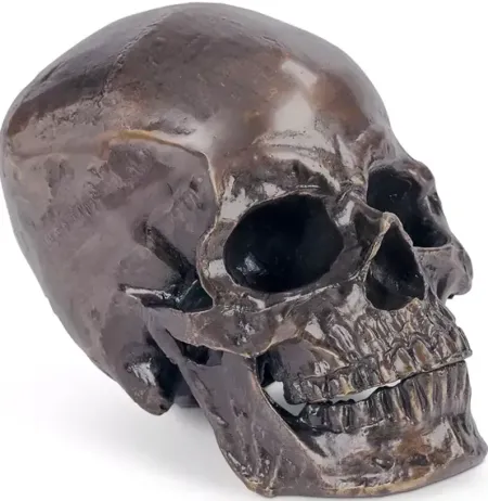 Regina Andrew Design Metal Skull DÃ©cor