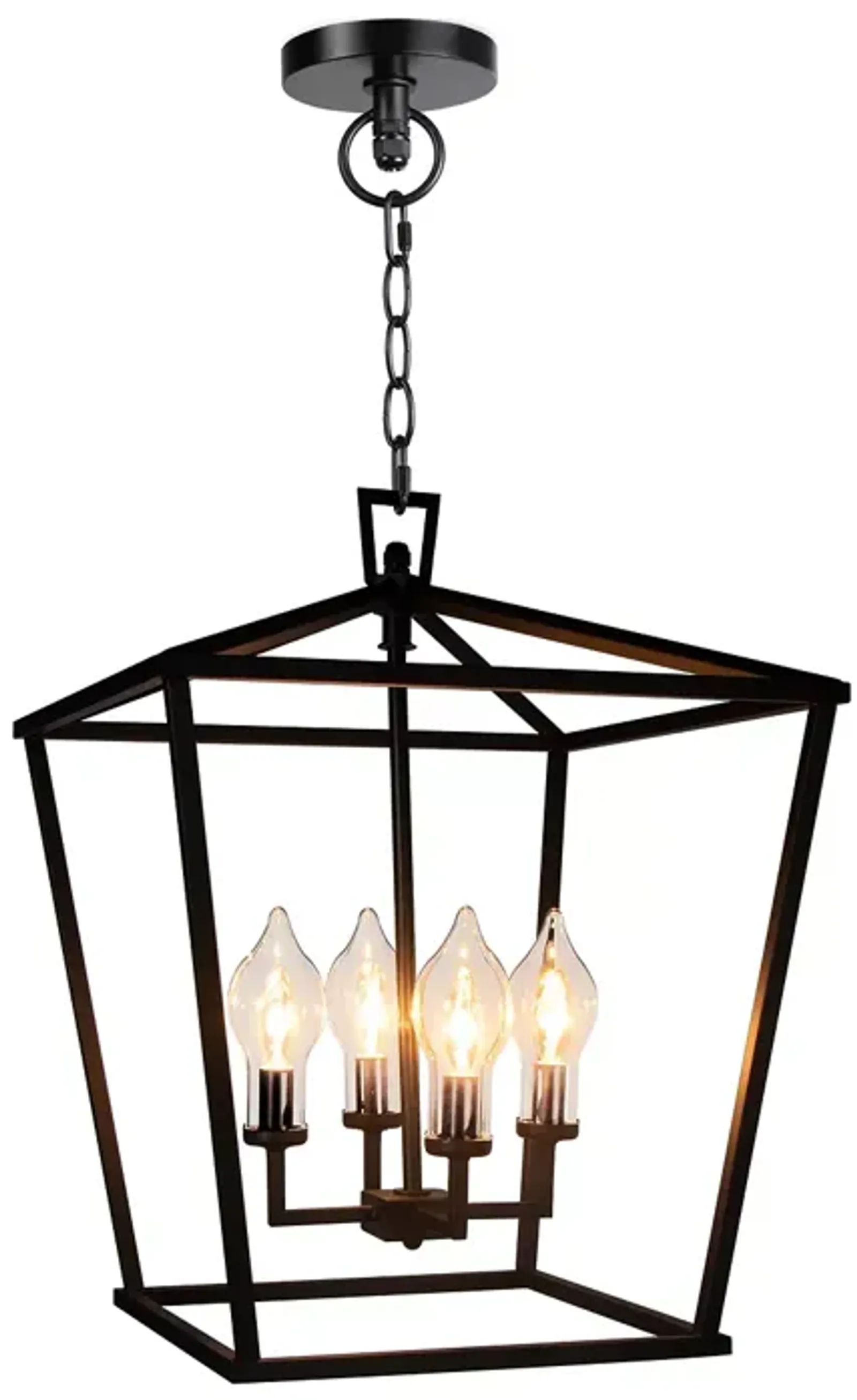 Regina Andrew Design Coastal Living Hampton Outdoor Lantern