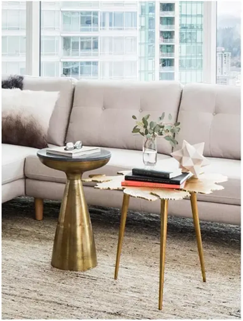 MOE'S HOME COLLECTION Amoeba Side Table 