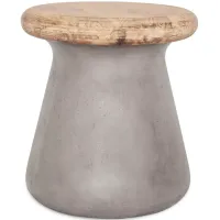 MOE'S HOME COLLECTION Earthstar Outdoor Stool 