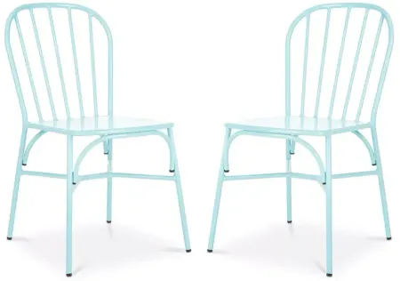 SAFAVIEH Everleigh Outdoor Side Chair, Set of 2