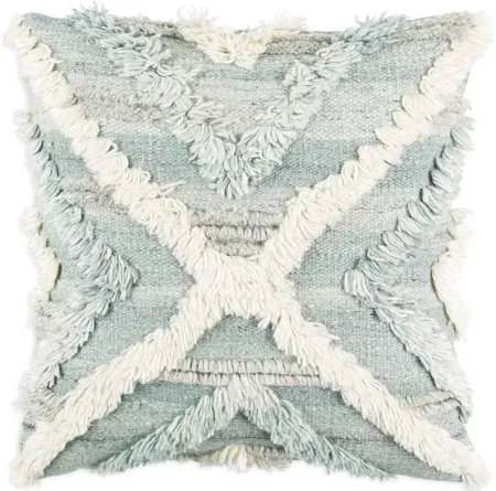 Surya Baracoa Decorative Pillow, 20" x 20"
