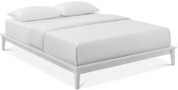 Modway Lodge Queen Wood Platform Bed Frame