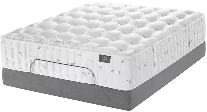 Kluft Royal Sovereign Duke Firm Queen Mattress Only - Exclusive