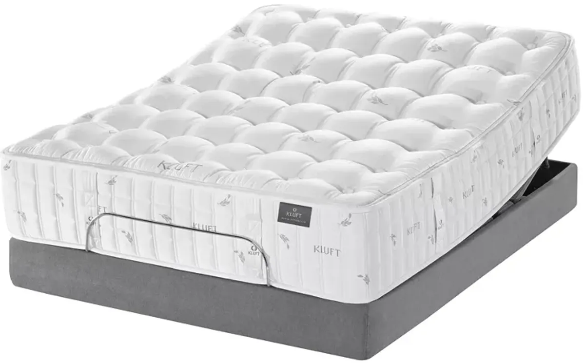 Kluft Royal Sovereign Margrave Plush Pillow Top Twin Mattress & Box Spring Set - Exclusive