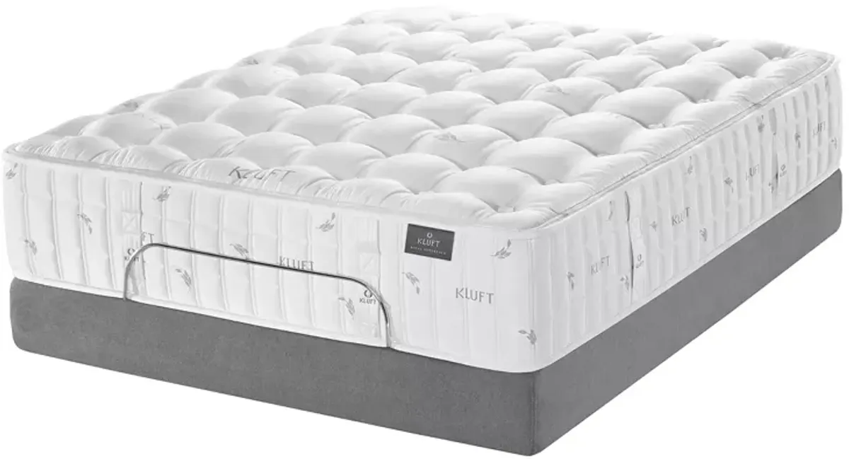 Kluft Royal Sovereign Margrave Plush Pillow Top Twin Mattress & Box Spring Set - Exclusive