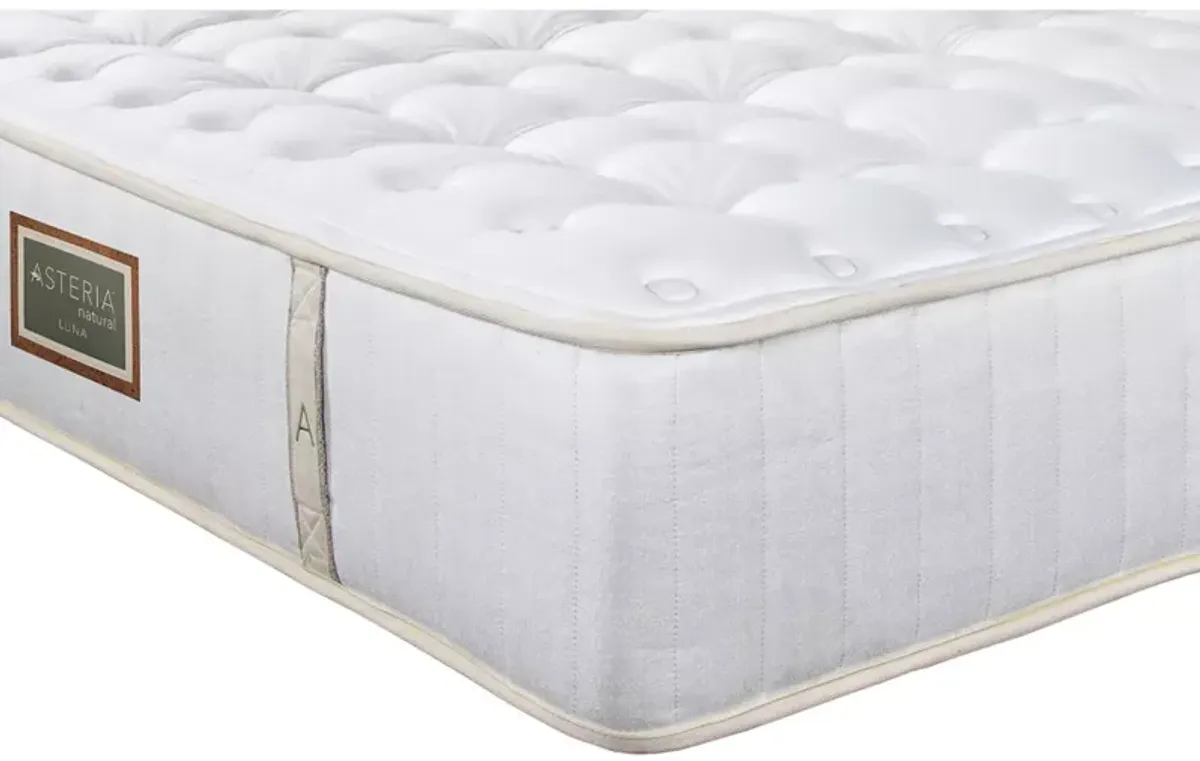 Asteria Luna Firm Twin Mattress Only  - Exclusive