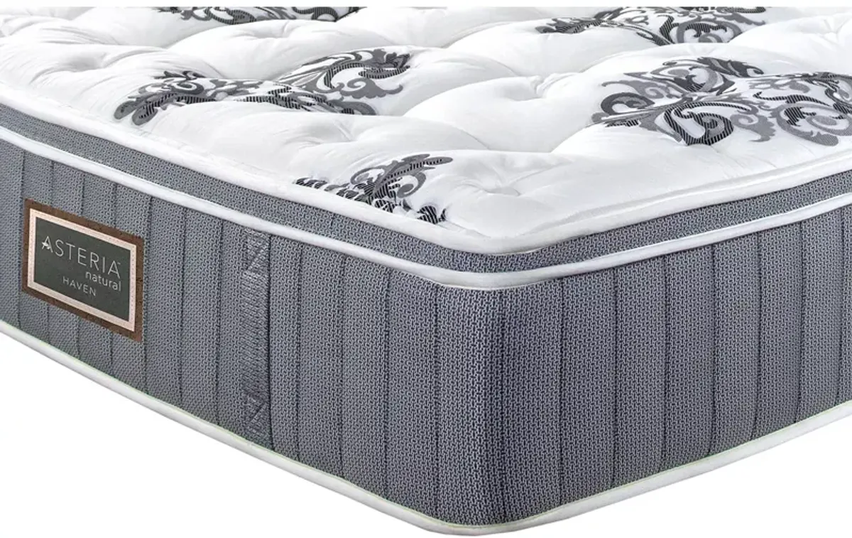 Asteria Haven Euro Top Twin Mattress Only  - Exclusive