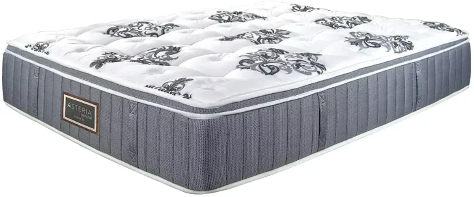 Asteria Haven Euro Top Twin XL Mattress Only  - Exclusive