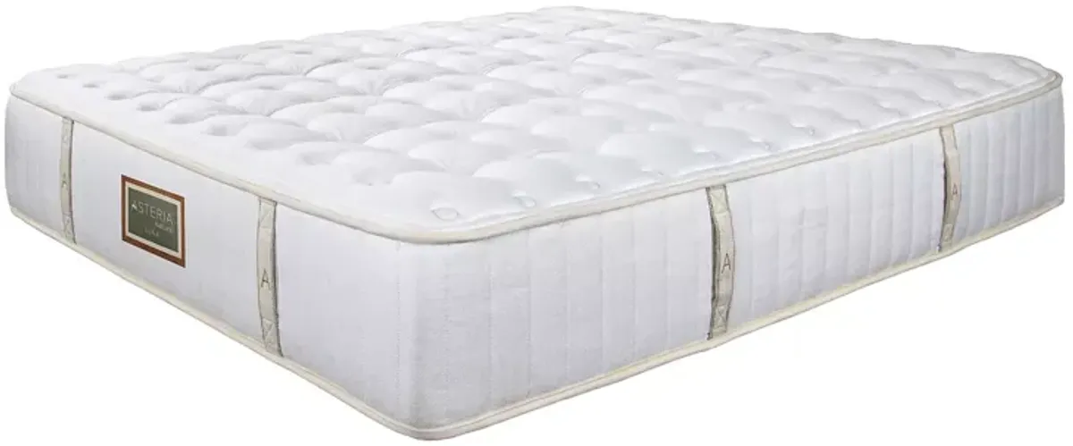 Asteria Luna Firm Twin Mattress and Box Spring Set  - Exclusive