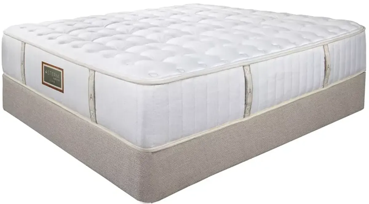 Asteria Luna Firm Twin Mattress and Box Spring Set  - Exclusive