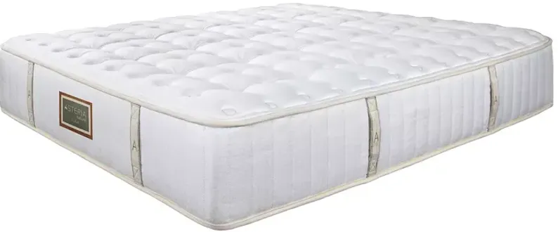 Asteria Luna Firm Twin Mattress and Box Spring Set  - 100% Exclusive