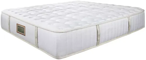 Asteria Luna Firm California King Mattress and Box Spring Set  - Exclusive
