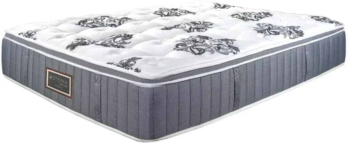 Asteria Haven Euro Top Full Mattress and Box Spring Set  - Exclusive