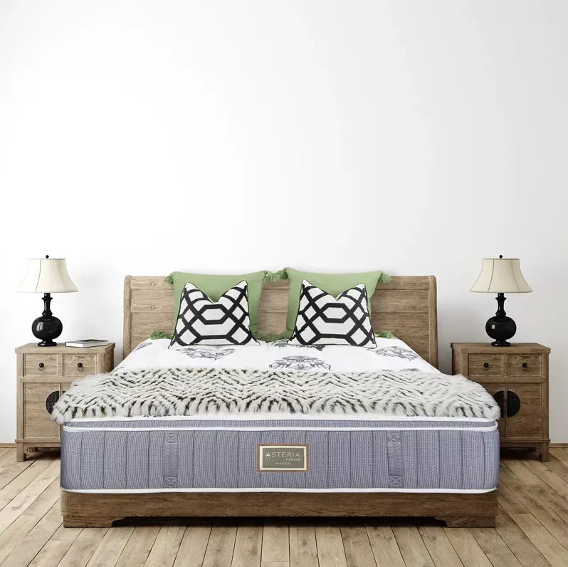 Asteria Haven Euro Top Queen Mattress and Box Spring Set  - Exclusive