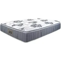 Asteria Haven Euro Top Twin Mattress and Box Spring Set  - 100% Exclusive