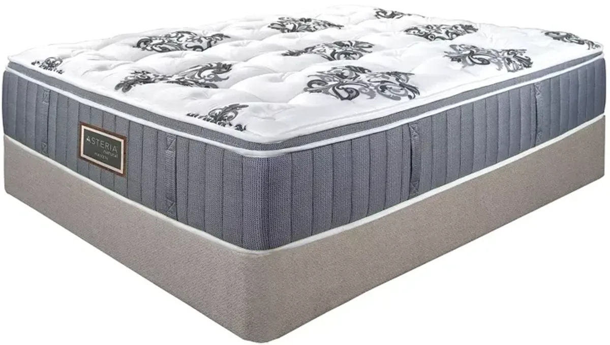 Asteria Haven Euro Top King Mattress and Box Spring Set  - Exclusive