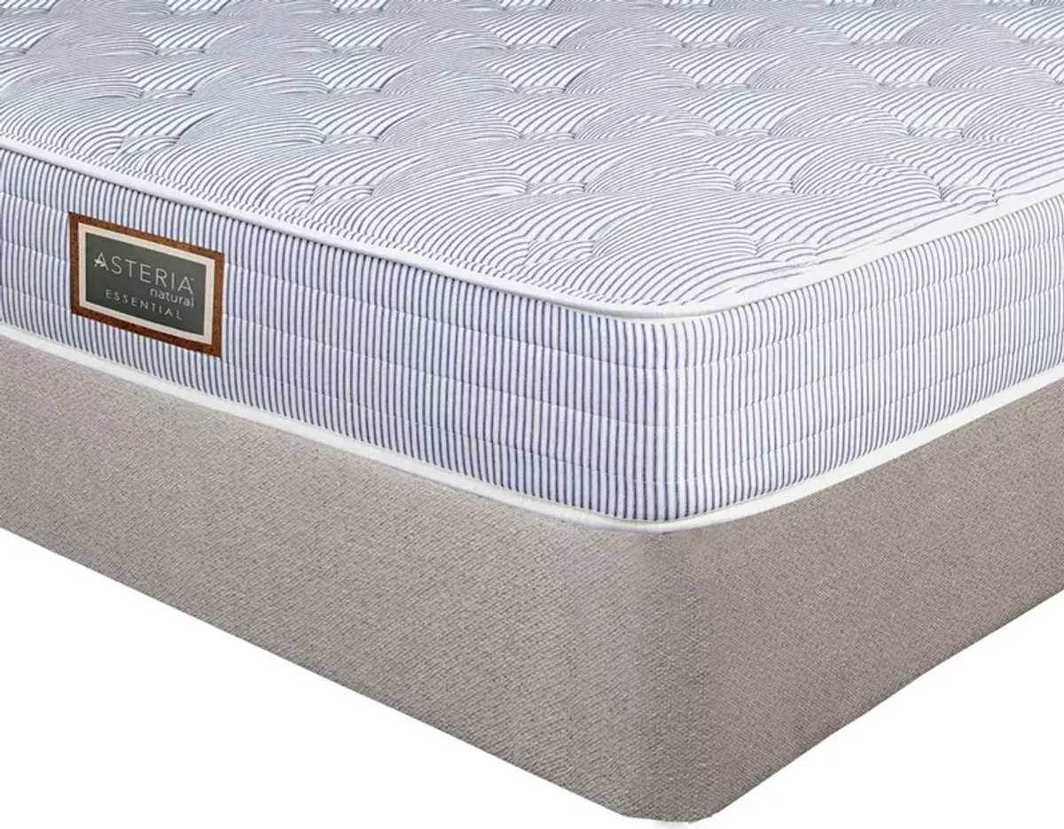 Asteria Essential Trundle Full Mattress Only  - Exclusive