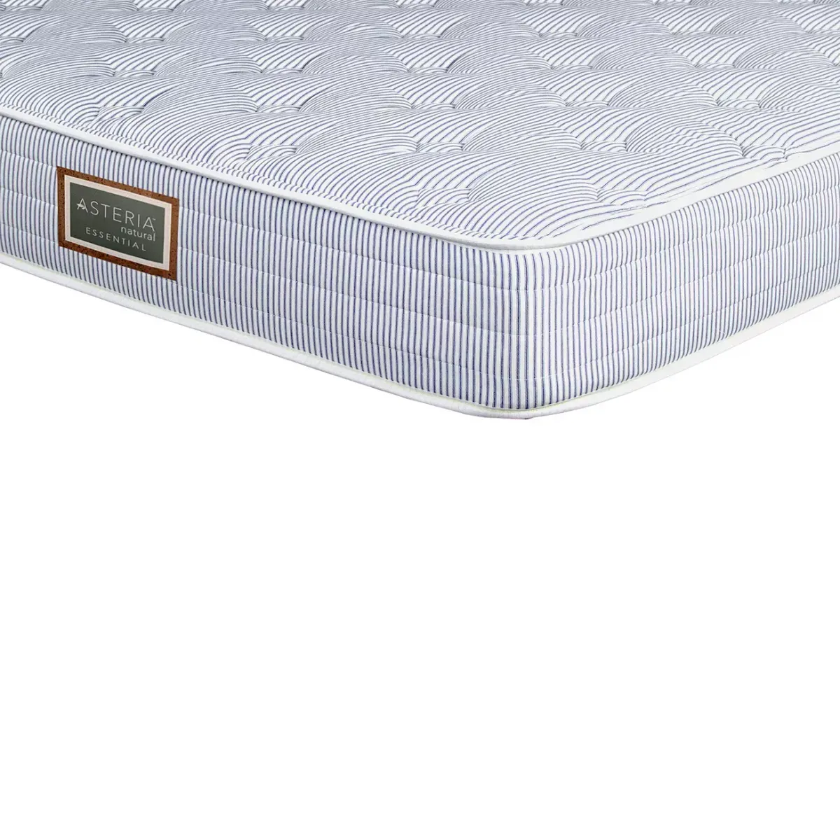 Asteria Essential Trundle Full Mattress Only  - Exclusive