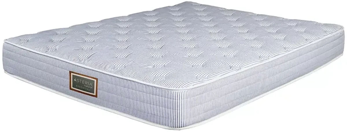 Asteria Essential Trundle Queen Mattress Only  - Exclusive