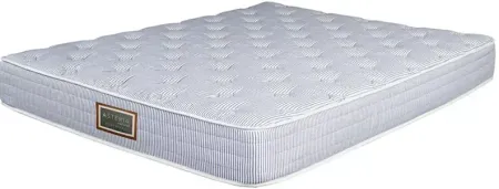 Asteria Essential Trundle Queen Mattress Only  - 100% Exclusive